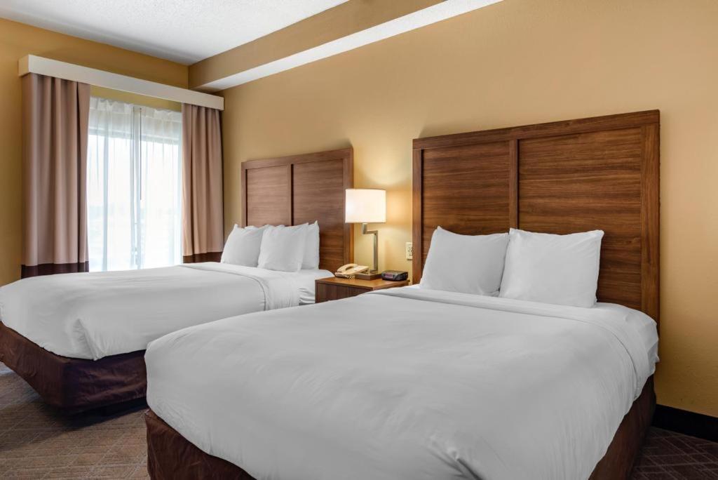 Comfort Inn & Suites At Stone Mountain Zewnętrze zdjęcie