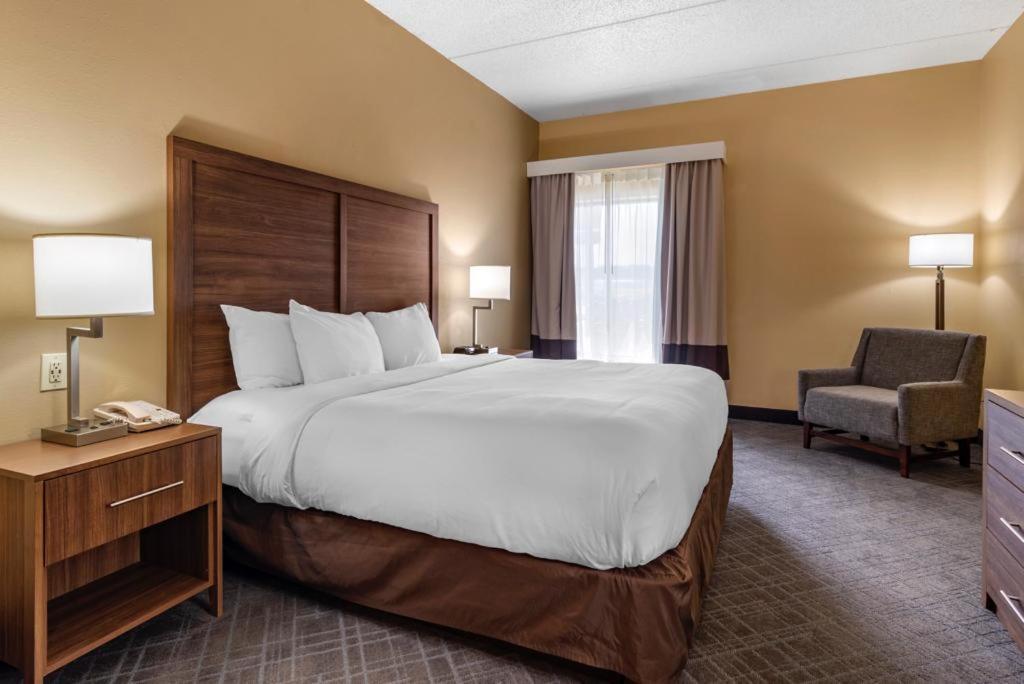Comfort Inn & Suites At Stone Mountain Zewnętrze zdjęcie